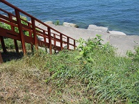 Wooden steps leading down to a blue lake, Image provided by Your Health And Tech Friend Magazine, Nancy K Gurish.
