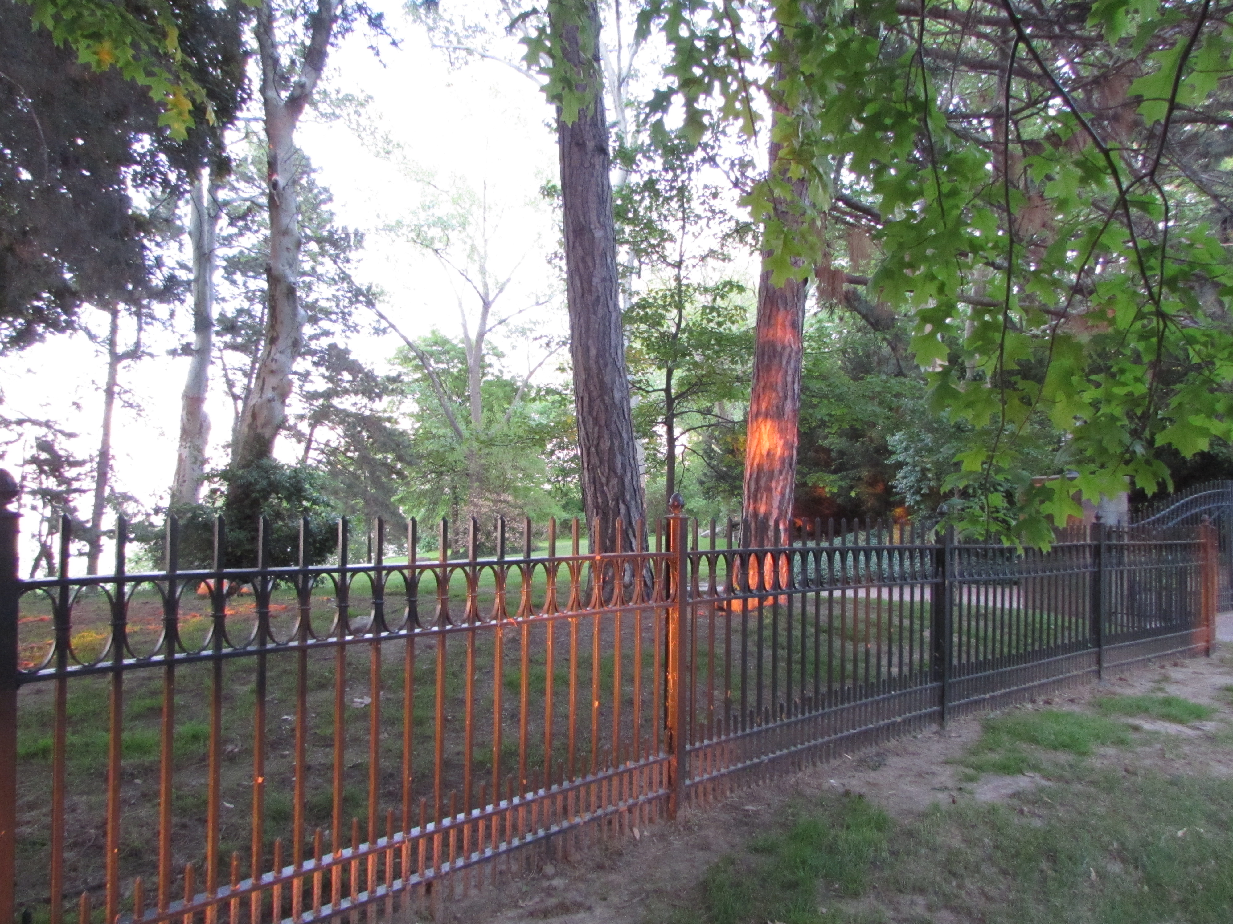 black wrought iron fence with sunset behind it.  Photo taken by Nancy K Gurish, Editor Your Health And Tech Friend Magazine, A Julialanan Production, LLC.