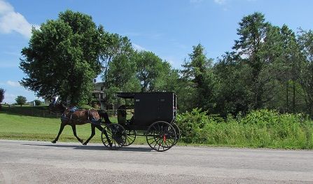 picture of a black Amish style horse and buggy on a beautiful day with a bright blue sky.