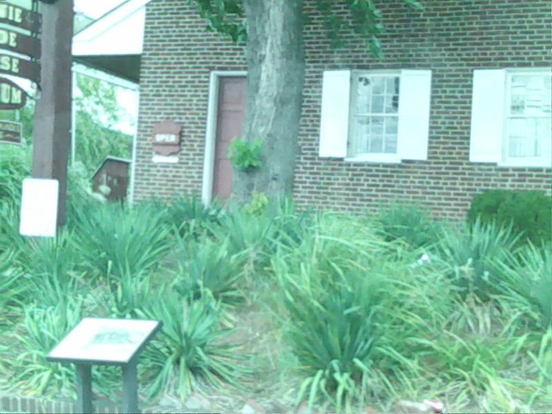 large grasses at the front base of this image of a brick building with a large tree trunk in front of it, this scene is from gettysburg pennsylvania by the jenny wade house, you can read partially the words jenny wade house on a sign in the left most portion of this picture, the image was taken by nancy gurish