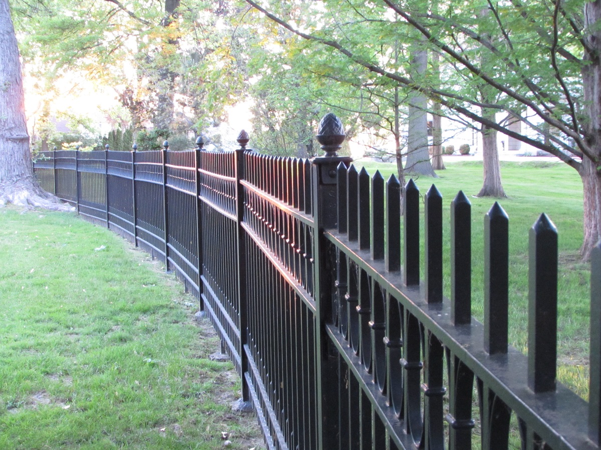 fence and trees at sunset on lake erie ohio usa.  Photo taken by Nancy K Gurish, Editor Your Health And Tech Friend Magazine, A Julialanan Production, LLC.