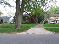 sidewalk view trees on left side long view, Photograph taken by Nancy K Gurish, Editor YHTF Magazine