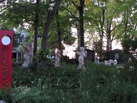 tree lined frontage of home on lake erie cleveland ohio, Photograph taken by Nancy K Gurish, Editor YHTF Magazine