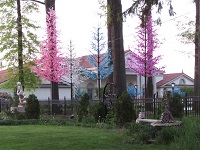 pretty pink trees glow in front of house lake front property cleveland ohio west side at sunset, Photograph taken by Nancy K Gurish, Editor YHTF Magazine 