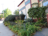 Nancy K Gurish, A Julialanan Production LLC, 500 x 300pxcorner view of a century home with bushes at the side, ohio city a neighborhood in cleveland ohio