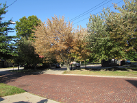 Nancy K Gurish, A Julialanan Production LLC, 500 x 300px red brick street with trees in the setting, image taken by nancy gurish from a neighborhood called ohio city in ohio near cleveland